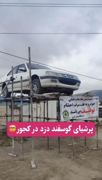 خودرو سارق احشام به نمایش عمومی گذاشته شد