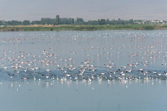 وضعیت آبی تالاب درگه سنگی نقده مطلوب است