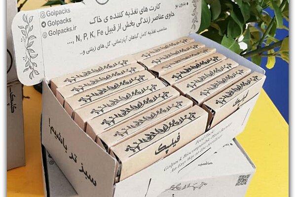 نخستین کارت‌های هوشمند تغذیه گل و گیاه آپارتمانی تولید شد