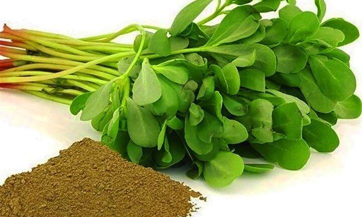 کاهش اختلال رشد و اوتیسم در کودکان با این گیاه